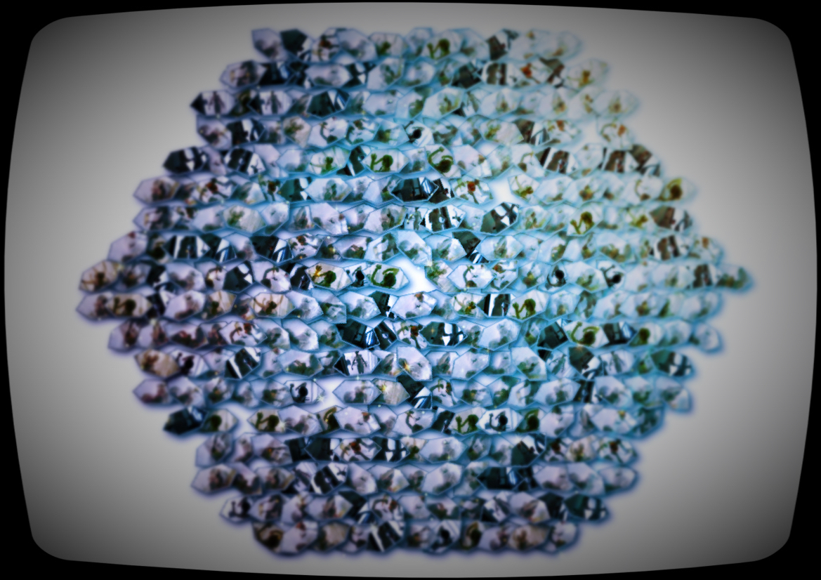 micheal hooker, ph.d.